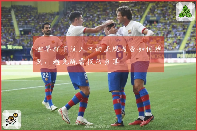 世界杯下注入口的正规与否如何辨别，避免踩雷技巧分享