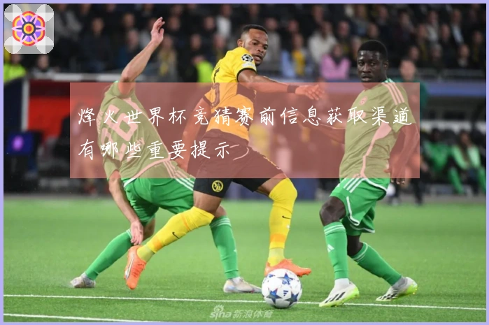 烽火世界杯竞猜赛前信息获取渠道有哪些重要提示
