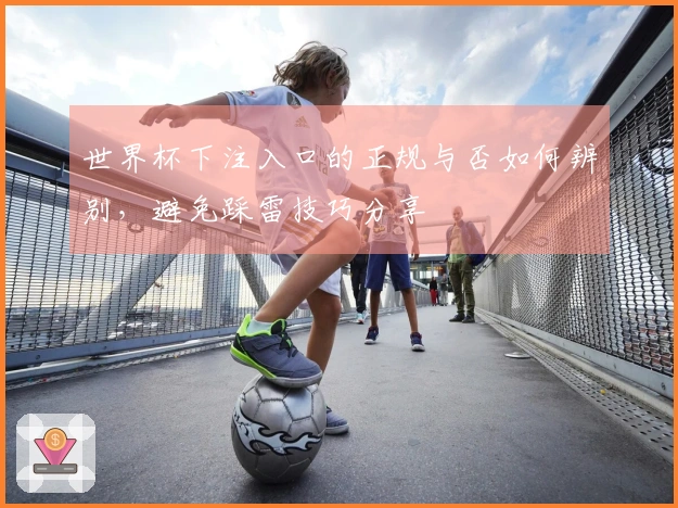 世界杯下注入口的正规与否如何辨别，避免踩雷技巧分享