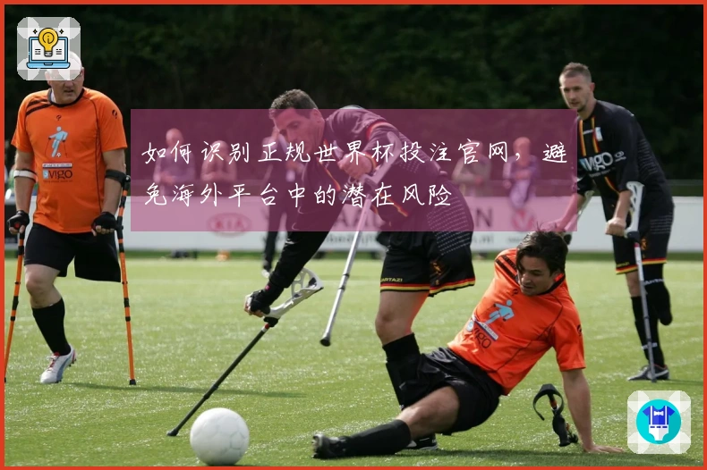 如何识别正规世界杯投注官网，避免海外平台中的潜在风险