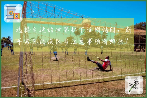 选择合适的世界杯下注网站时，新手常见的误区与注意事项有哪些？