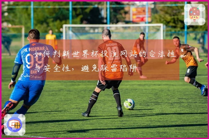 如何判断世界杯投注网站的合法性与安全性，避免踩雷陷阱