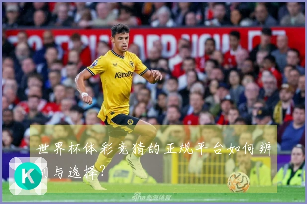 世界杯体彩竞猜的正规平台如何辨别与选择？